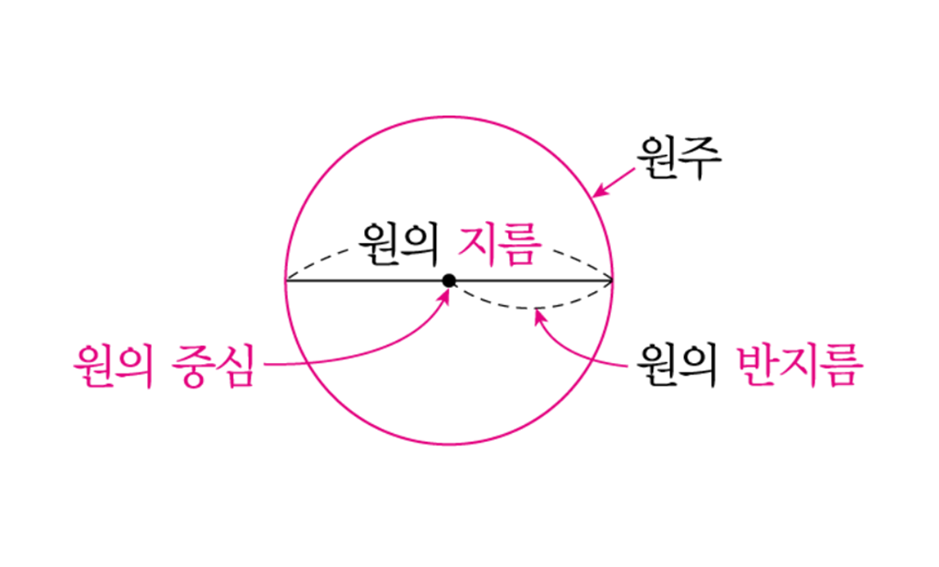 원의넓이 | 6학년 2학기 수학 5단원 | 홈런 초등