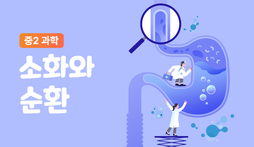 소화와 순환 | 중2 과학 | 중등 인강 | 아이스크림 홈런